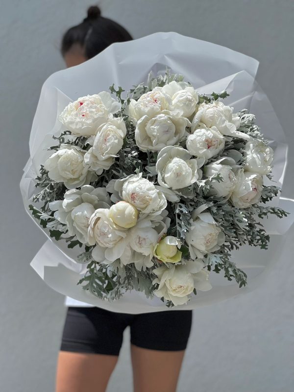 Dutch White Peonies , Chantilly Lace - 20 premium Dutch white peonies - Maison la Fleur