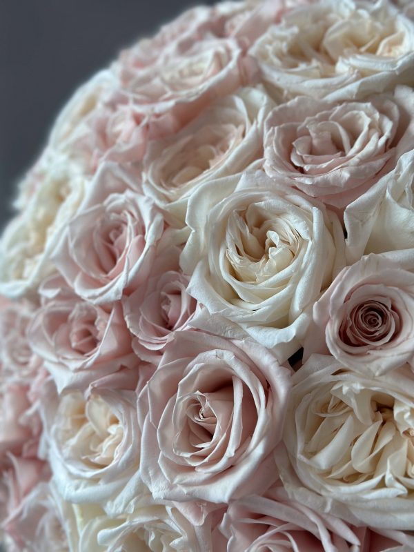 I'm Yours - beautiful mix of 150 premium roses and premium garden roses - Maison la Fleur