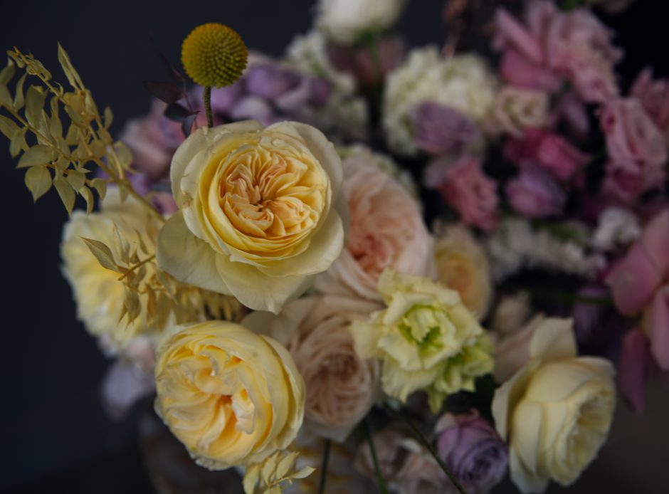 Yellow and Purple Flowers, Smile Of The Sun - Mixed pastel yellow and purple garden roses