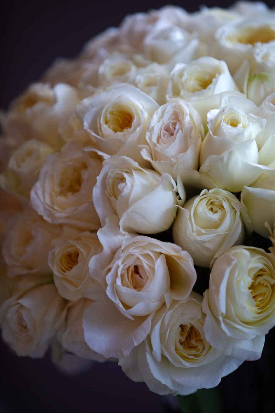 100 White Roses Bouquet, Viennese Waltz - 100 Premium garden Roses of David Austen Media 1 of 3
