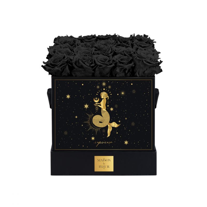 Zodiac Signs Collection - Capricorn - Maison la Fleur